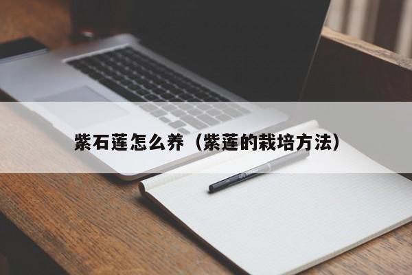 紫石莲怎么养（紫莲的栽培方法） 